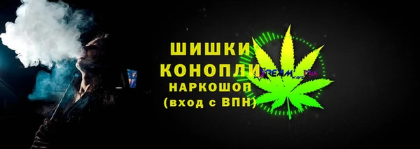 индика Пролетарск