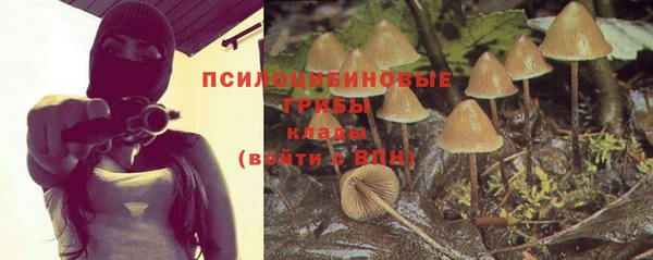 спайс Абинск