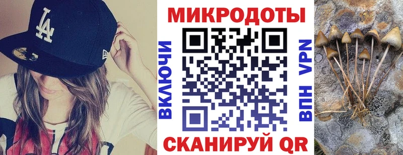 Галлюциногенные грибы мицелий  как найти закладки  нарко площадка Telegram  Галич 